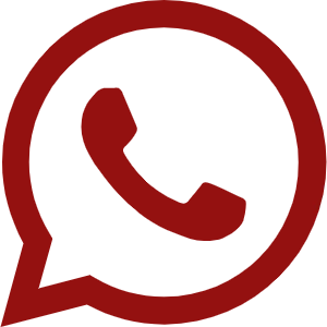 +8613521989455